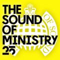 The Sound Of Ministry 25 (Continuous Mix 2)