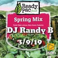 DJ Randy B - Spring Mix 3-10-19 Top 40 / Hip Hop