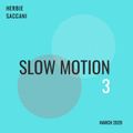 Herbie Saccani - Slow Motion 3 - March 2020