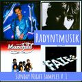 Sunday Night Samples V.1_@Leisure Sweet Radio_mixed & compiled by RADYNTMUSIK