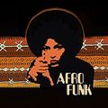 smooth acid-jazz,  funky-house, afro-beat, nu-disco