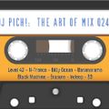 DJ Pich! The Art Of Mix 24