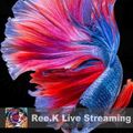 Ree.K 2022.05.20. Ambient Dub Streaming
