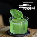 how Deep is your HOUSE #4