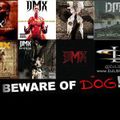 DJ LS One - Beware of the Dog (DMX Mix)