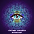 Liberation Dub Station - Exclusive Guest Session For "The Psychedelic Bubble " 14th January 2022