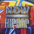 NOW! U.S. Series Megamix Vol 10 (Hip-Hop - 2009-2012)