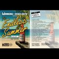 Endless Summer by Disko Drew