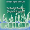 Ambient Nights - Ethni-City CD06-The Moonlight Tapestries [Prophetic Pictograms]