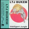 1995.04.13 - LTJ Bukem -  Love Of Life - Intelligent Jungle