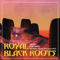 Royal Productions - Royal Black Roots: Teil 1 (1999) - Megamixmusic.com