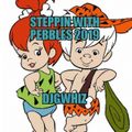 Steppin With Pebbles 2019