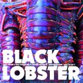 Black Lobster - Deep house & Tech house mix by Mattia Nicoletti - Beachgrooves - November 26 2017