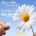 Loves Me...Loves Me Not (Uptempo Slow Jam Megamix)