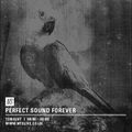 Perfect Sound Forever - 7th May 2015