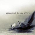 Midnight Silhouettes 1-23-22