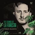 THE SOUNDS OF LA FORESTA EP19 - ESTEBAN IKASOVIC