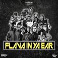 DJ Hook - Flava In Ya Ear (mixtape)