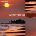 Summer Vibes 2020 Vol 1 By DJ P Montana