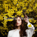Soulful House Mix 2021.09.03
