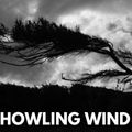 Howling Winds Techno mix