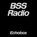 BSS Radio #65 - Luigi // Echobox Radio  29/07/21