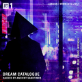 Dream Catalogue - 20th April 2017