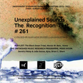 Unexplained Sounds - The Recognition Test # 261