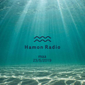 #126 maa from Hamon Radio @ International Synthesizer Day 2019