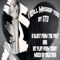 DJ STV - I Will Mashup You Mix (Section The Party)