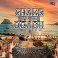 Shake On The Beach