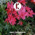 PROKS - FUZZY THOUGHTS #2 (Official Mixtape)