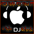 MHMS-211-DJ Orlando-Styles