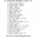 DJ Skywalker - Flight 3