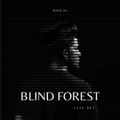 BLIND FOREST Live Set
