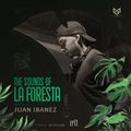 THE SOUNDS OF LA FORESTA EP011 - JUAN IBANEZ