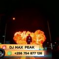 Super Old Skool Mix 2 -DJ Max Peak  90s & Early 2000s HIP HOP & RNB