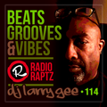Beats, Grooves & Vibes 114 w. DJ Larry Gee