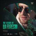 THE SOUNDS OF LA FORESTA EP52 - TITOV