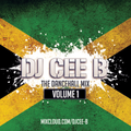 The Dancehall Mix (Volume One) - Follow @DJCEEB_ On Instagram