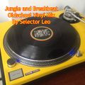Jungle and Breakbeat Oldschool Vinyl Mix by Selector Leo