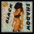 DJ Shadow Black Shadow Vol. 1