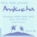 Steve Optix Presents Amkucha on Kane FM 103.7 - Week 118
