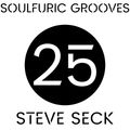 Soulfuric Grooves # 25 - Steve Seck - (February 26th 2020)
