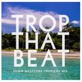 Trop That Beat (2014 Tropical House Mix)