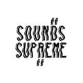 Sounds supreme x Soloist 12