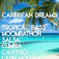 Caribbean Dreams! Tropical Bass, Moombahton, Calypso, Cumbia & Salsa Remixes!