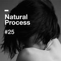 Natural Process #25