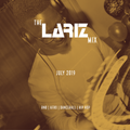 The LarizMix - July 2019: RnB | Afro | Dancehall | Hip Hop [Full Mix]