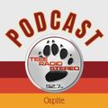 Podcast 09.03.2022 Serhij Stachovs'kyj